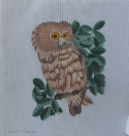 Owl On Branch - 75% off