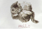 Hello Kitten Cross Stitch Kit - 40% OFF