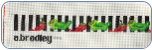 Chili Peppers Belt Needlepoint Canvas - 18 ct - 75% off