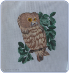 Owl On Branch - 75% off