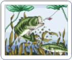 Bass Attack Counted Cross Stitch - 40% OFF